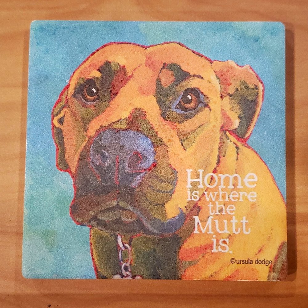 Absorbent Stone Coasters - Mutt